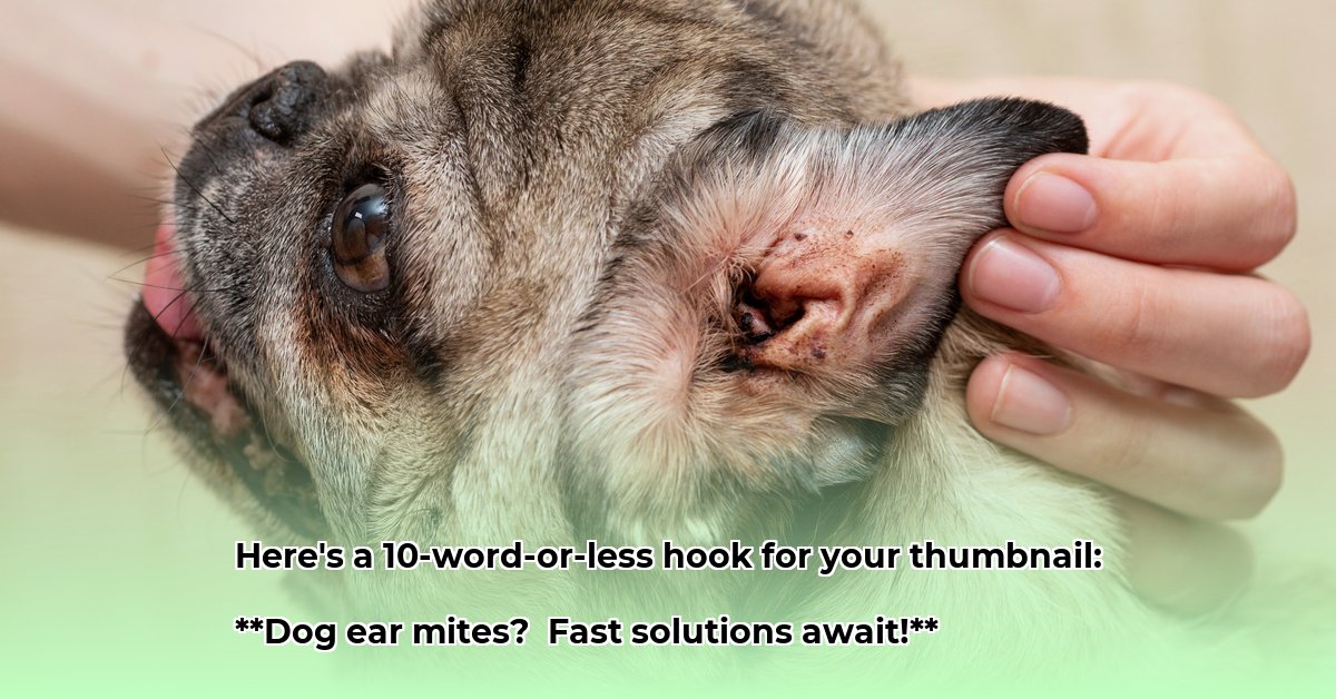 ear-mites-tractor-supply